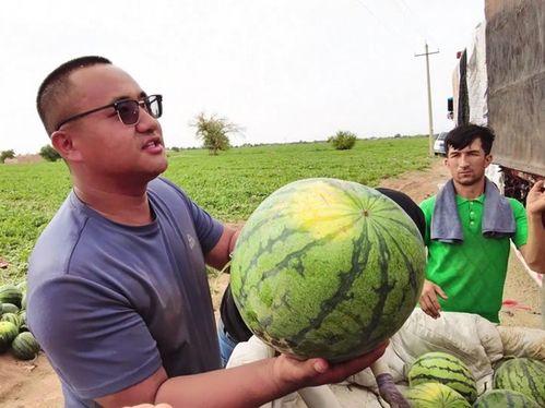 每天都要笑吃瓜,轻松愉悦的日常小确幸