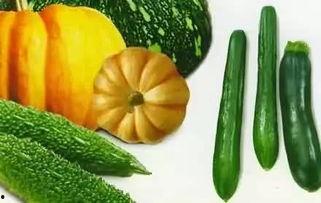 开朗吃瓜,畅享生活乐趣