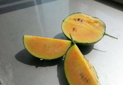 彩虹朋友吃瓜人,吃瓜人生，笑对人生百态