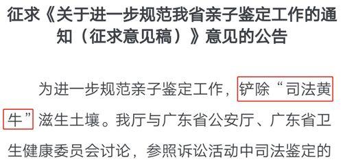 浪尖吃瓜亲子鉴定,揭秘亲子关系背后的真相