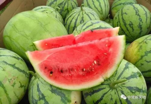 吃瓜大鲜,揭秘娱乐圈幕后故事