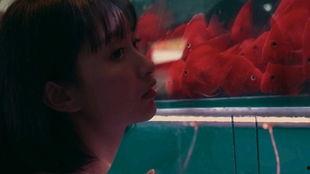 居家吃瓜少女,解锁少女心日常