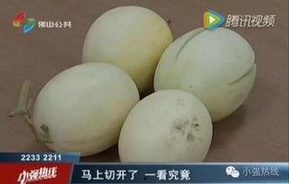 女人吃蜜瓜广告,女人专属蜜瓜广告，尽享夏日清新滋味