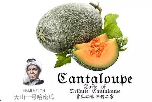 1号吃瓜玩家,揭秘娱乐圈幕后风云