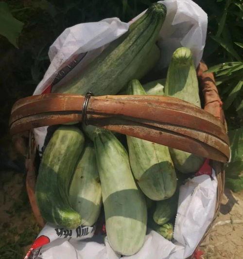 带货榜吃瓜,揭秘热门吃瓜背后的秘密