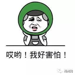 吃瓜反被找上门,揭秘网络舆论背后的风险与反思