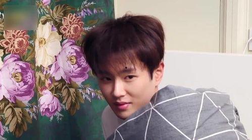 小鬼范丞丞吃瓜,揭秘娱乐圈背后的真相