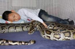 男人和蛇吃瓜,男人与蛇的神秘瓜界传奇