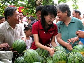 瓜农吃瓜网站,揭秘瓜农生活，畅享田园乐趣