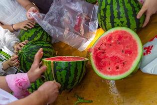 吃瓜食品配音,揭秘吃瓜食品的配音魅力