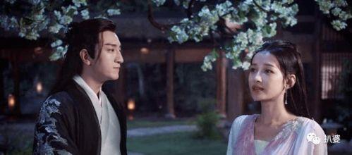 吃瓜大神大结局,揭秘娱乐圈背后的真相与结局