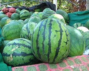 这个时间怎么吃瓜,揭秘娱乐圈最新八卦风云