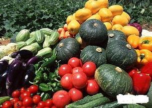 吃瓜菜会发虚,揭秘发虚背后的营养秘密