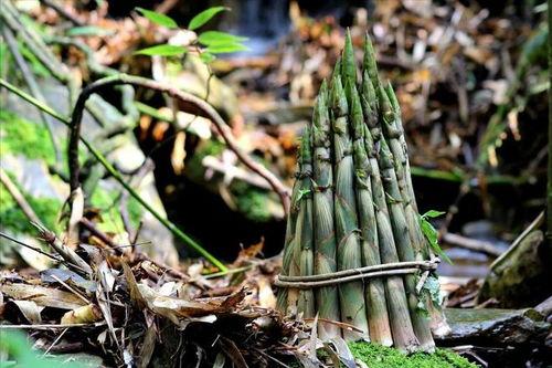 谷雨 木木吃瓜,木木吃瓜趣事多