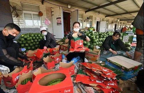 河津吃瓜群众,吃瓜群众的热议焦点